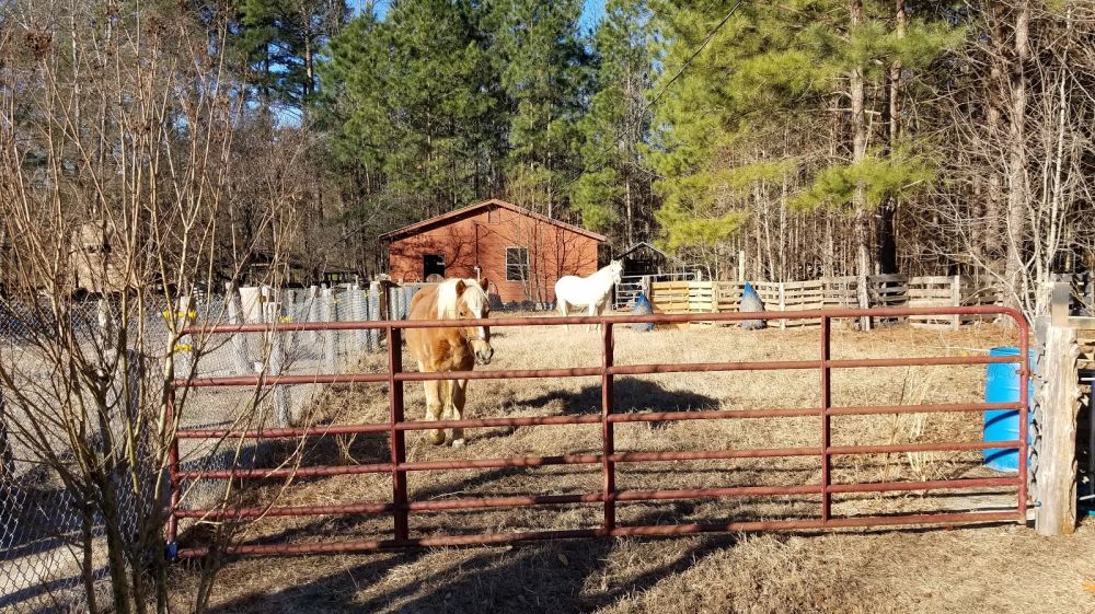 Avery Family Farm