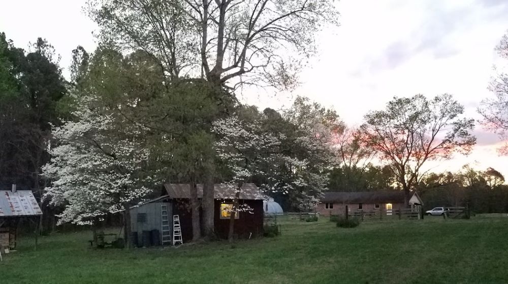 White Oak Pottery