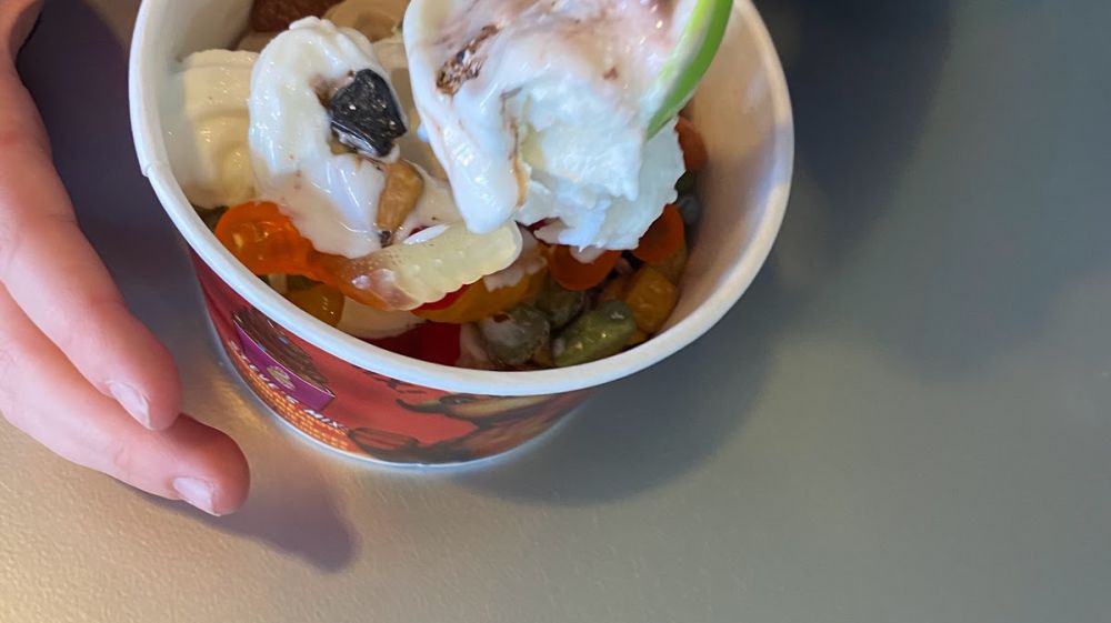 Menchie's Frozen Yogurt