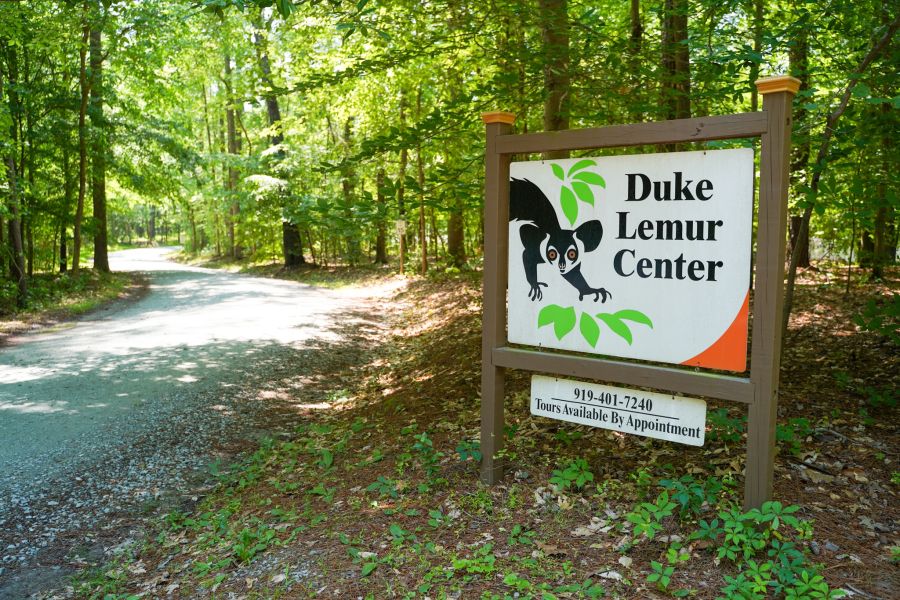 Duke Lemur Center in Durham, NC