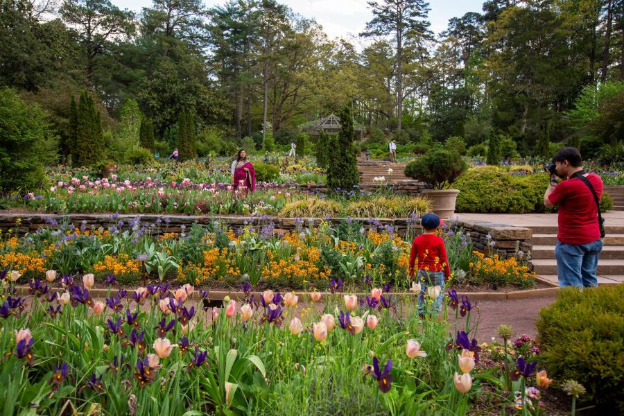 The Most Beautiful Botanical Gardens in the U.S.