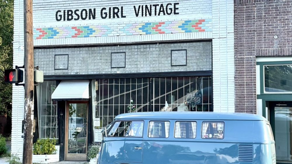 Gibson Girl Vintage