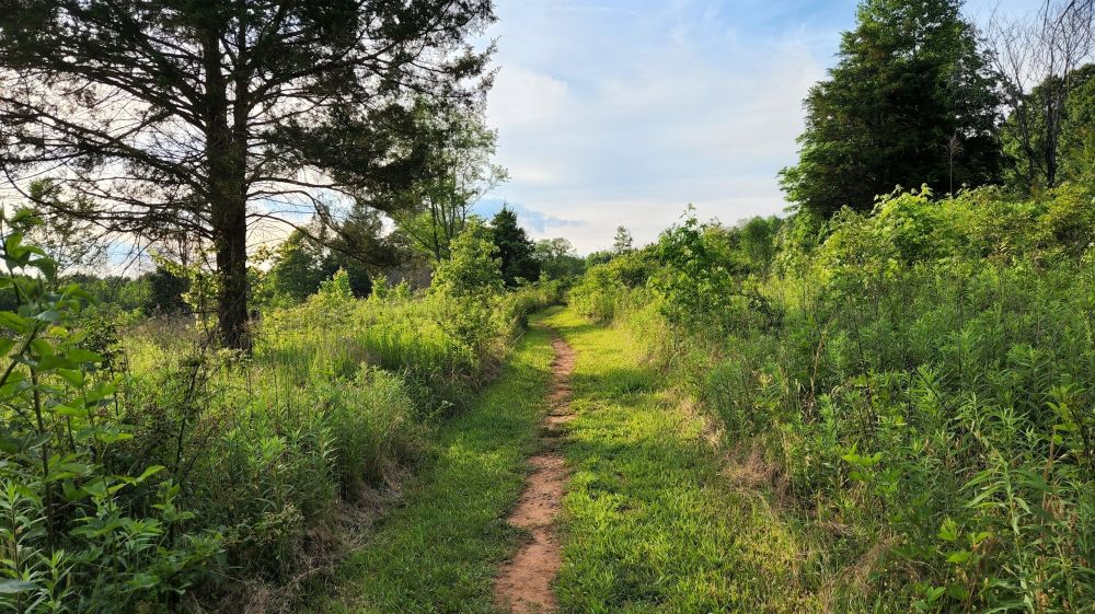 Horton Grove Nature Preserve