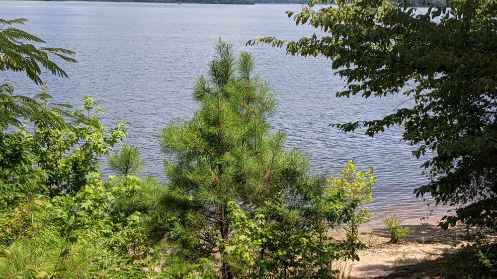 Mountains-to-sea Trail